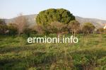 GL 0172 - Plot of land - Wista - Ermioni